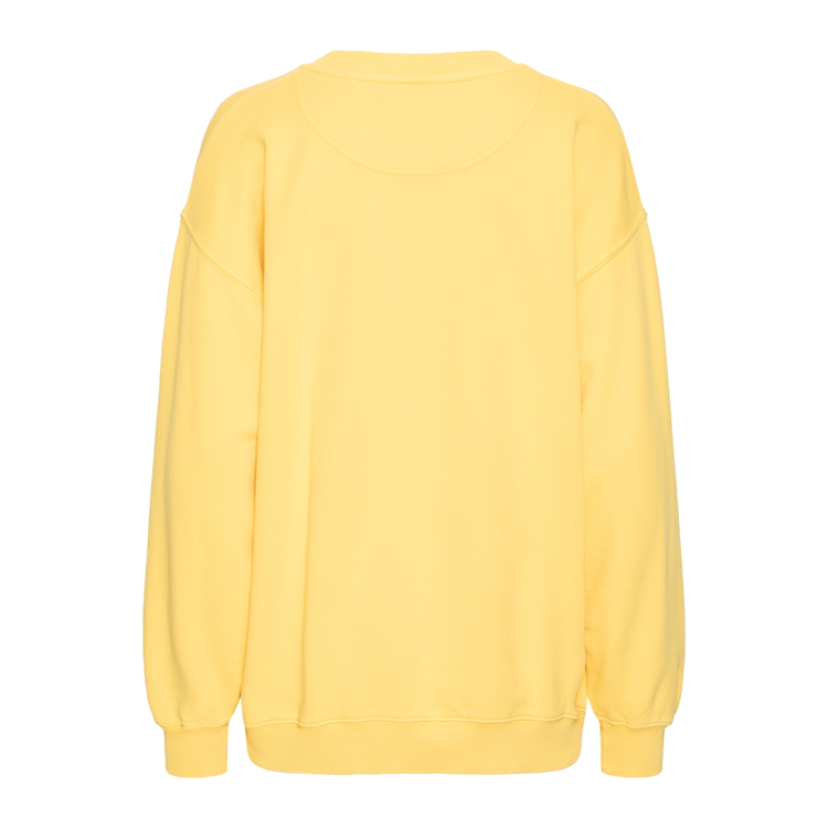 Bamaldini sweat - Beach ball