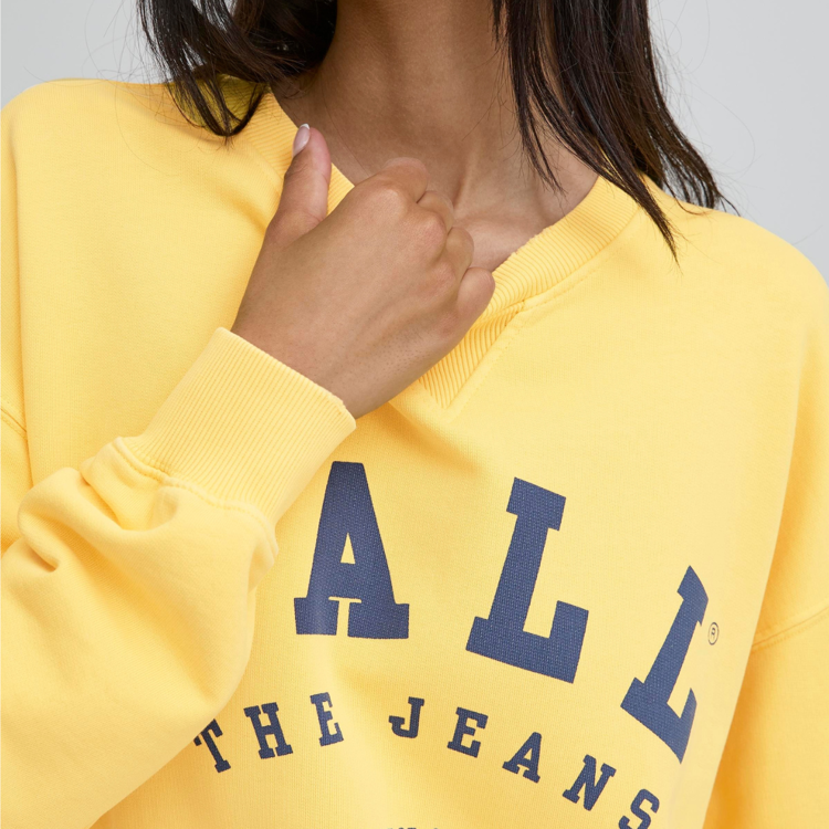 Bamaldini sweat - Beach ball